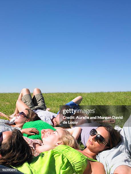 group of young people lying in field - david de lossy sleep stock pictures, royalty-free photos & images