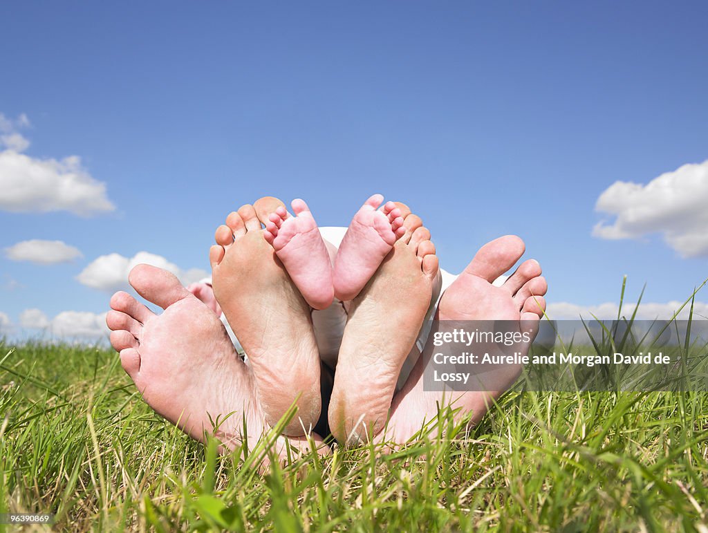 Feet of family lying in field