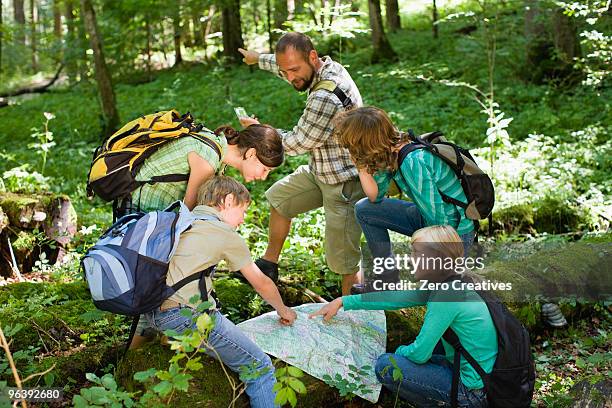 teacher and pupils at the wood - viagem-de-estudo imagens e fotografias de stock