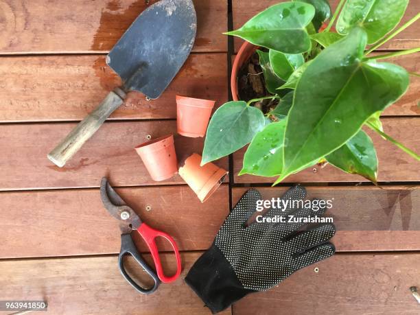 kuala lumpur, malaysia - garderning tools on wooden garden table - podão imagens e fotografias de stock