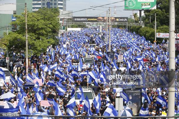 Protesters take part in the march of mothers' day called in memory of the dead and disappeared during the 42 days of crisis that has affected the...