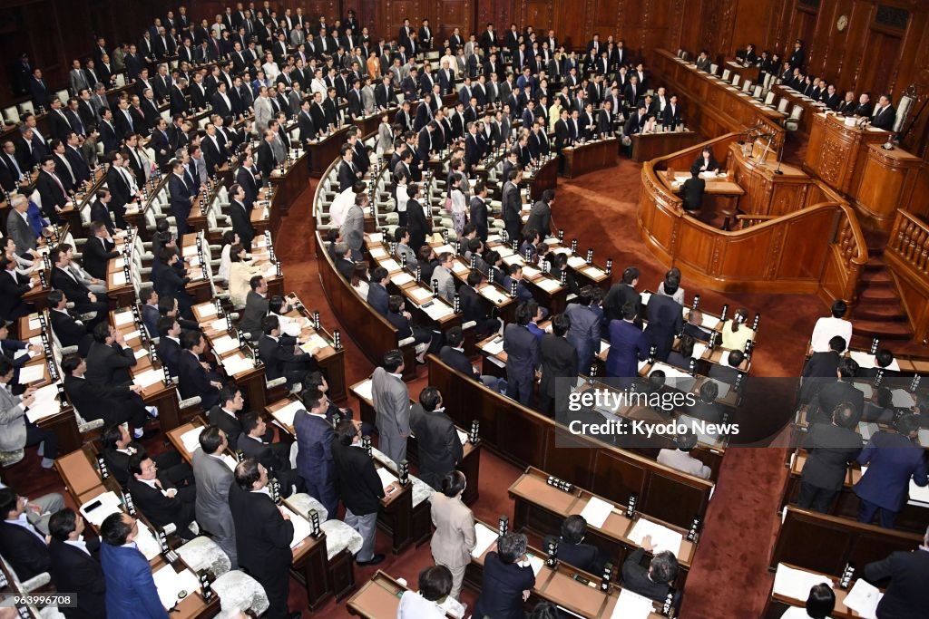 Lower house passes work style reform bill