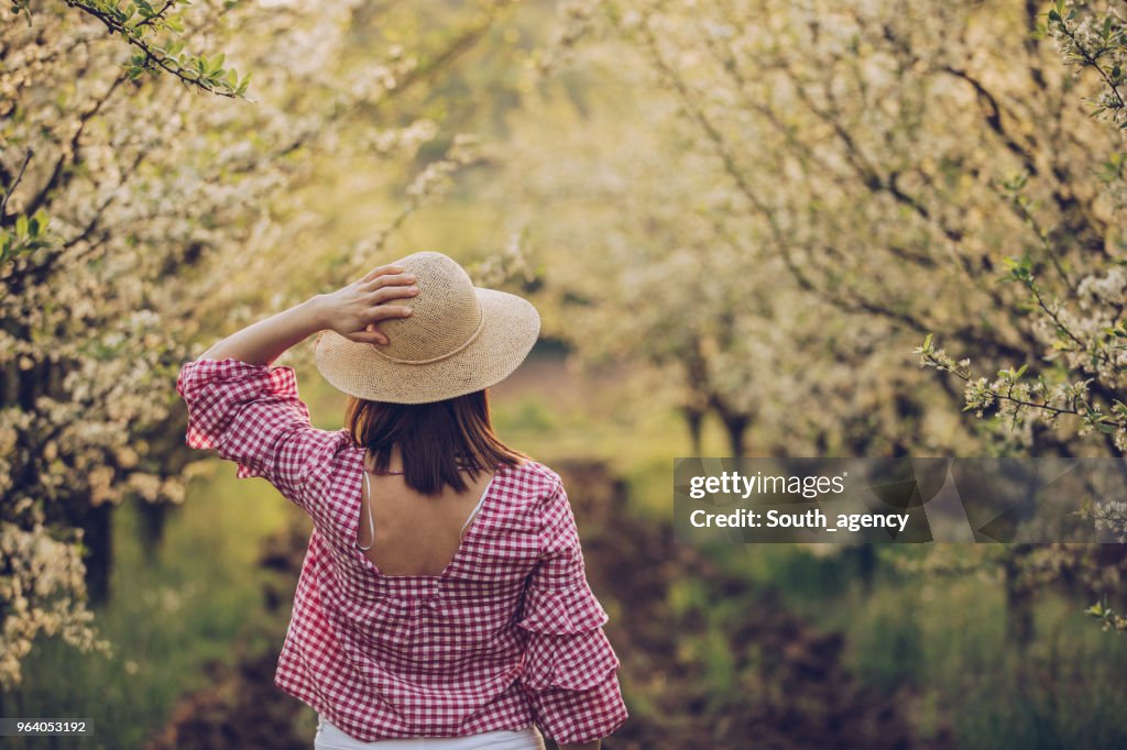 Dia de primavera em pomar