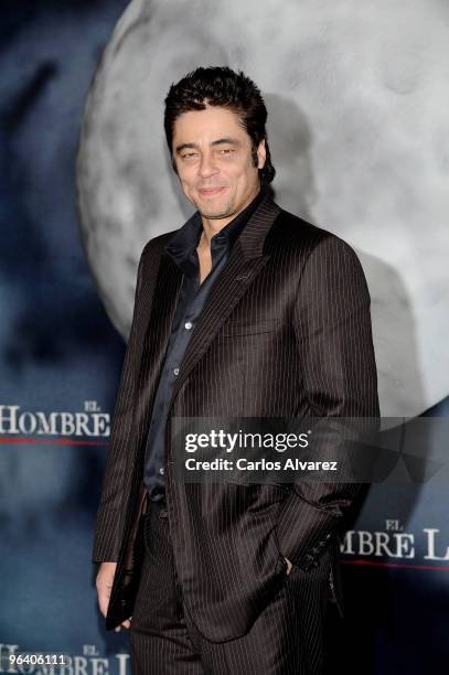 Actor Benicio del Toro attends a photocall for "El Hombre Lobo" at the Santo Mauro Hotel on February 4, 2010 in Madrid, Spain.