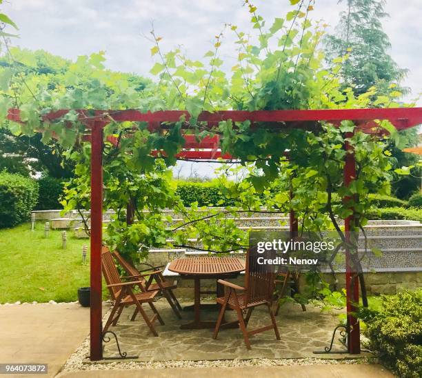 gazebo in a beautiful garden - pergola bois photos et images de collection