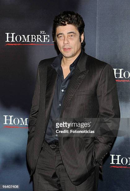 Actor Benicio del Toro attends a photocall for 'El Hombre Lobo' at the Santo Mauro Hotel on February 4, 2010 in Madrid, Spain.