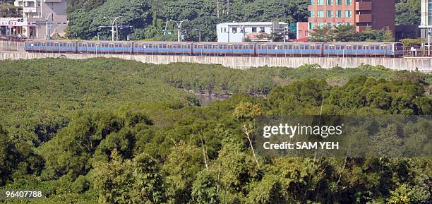 Tamshui line's Mass Rapid Transit subway drive near the Hongshulin station, Taipei county, on January 13, 2010. AFP PHOTO / Sam YEH