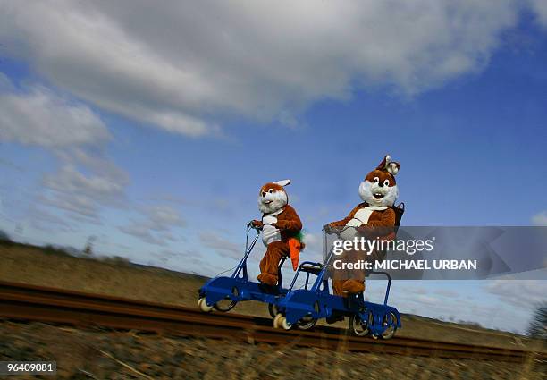 Two men disguised as Easter Bunnies take a ride on a so-called draisine rail vehicle on March 17, 2008 at the adventure train in Mellensee, eastern...