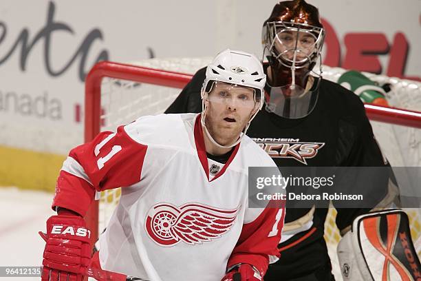 Jonas Hiller of the Anaheim Ducks defends the net against Daniel Cleary of the Detroit Red Wings during the game on February 3, 2010 at Honda Center...