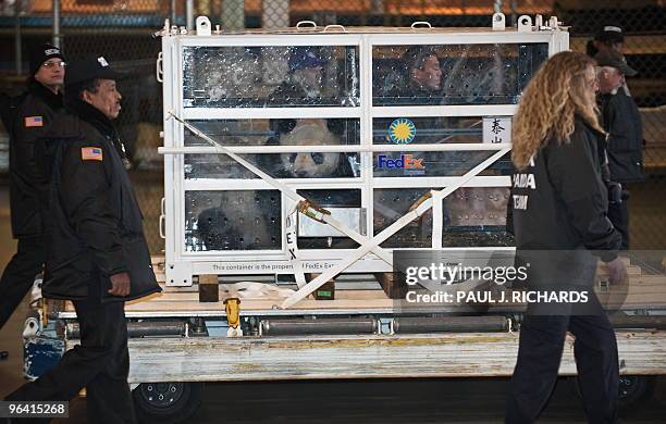 Security, FedEx, and Zoo officials escort Tai Shan, one of the Smithsonian National Zoo's giant pandas, as he is towed in a specially designed crate...