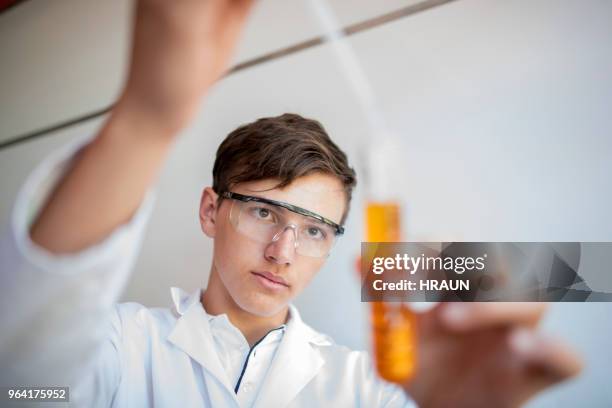 high school student dripping liquid into test tube - high school boys stock pictures, royalty-free photos & images