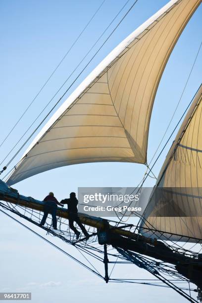 pride of baltimore ii sailing, gloucester harbor - tall ship stock pictures, royalty-free photos & images