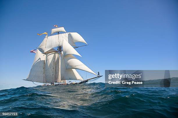 pride of baltimore ii sailing, gloucester harbor - greg pease stock pictures, royalty-free photos & images