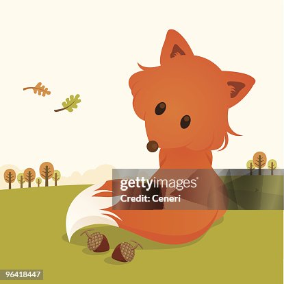 Fox Fox