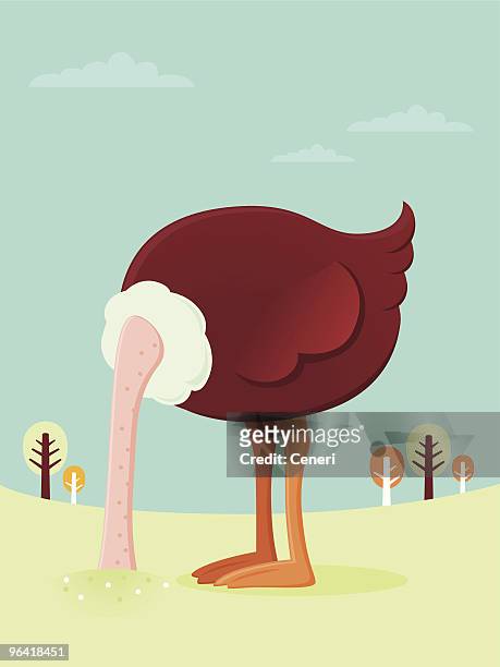 ostrich burying his head in the sand - shy stock illustrations