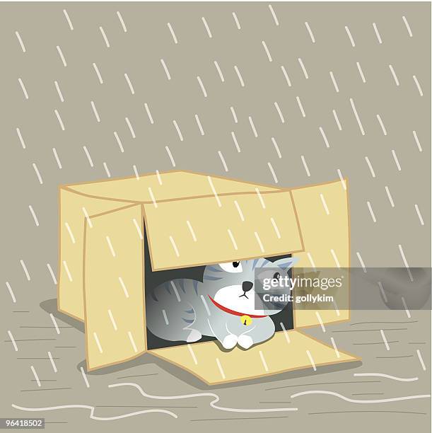 lost cat - cat in box stock illustrations