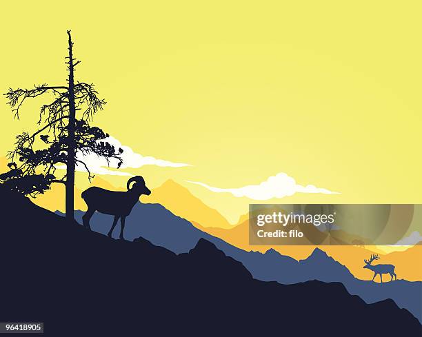 ilustrações de stock, clip art, desenhos animados e ícones de paisagem de montanha - muflão do canadá