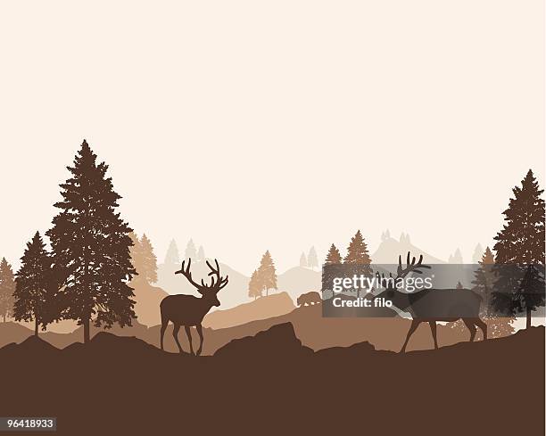 ilustrações, clipart, desenhos animados e ícones de paisagem de floresta - animal selvagem