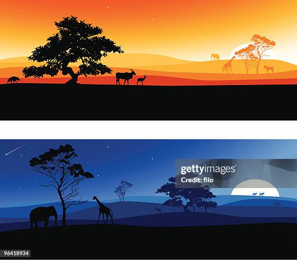 illustrazioni stock, clip art, cartoni animati e icone di tendenza di africano paesaggi - acacia tree