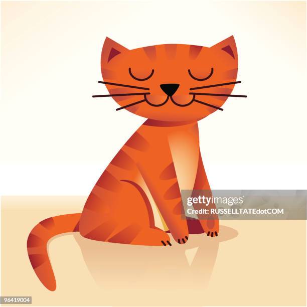 cool cat - cat sitting stock illustrations