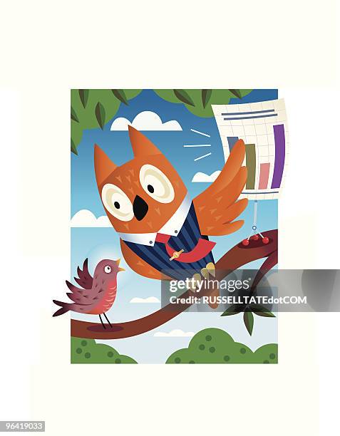 wise owl - chart branch stock illustrations