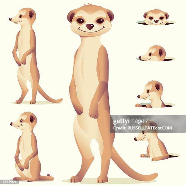 meerkat - group of animals stock illustrations