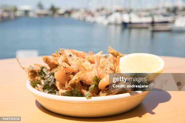 prawns beside the waters edge - mooloolaba stock-fotos und bilder