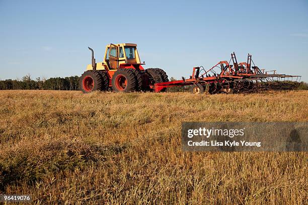 Bashaw Alberta Photos and Premium High Res Pictures - Getty Images