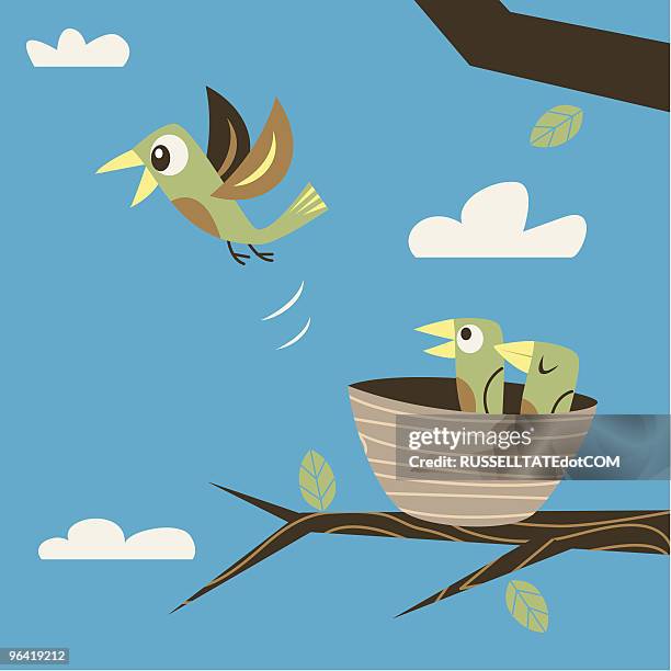 bildbanksillustrationer, clip art samt tecknat material och ikoner med fleeing the nest - bird nest