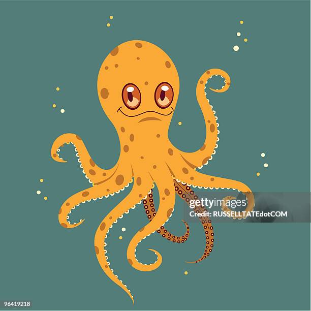 o is for octopus - tentacle stock illustrations