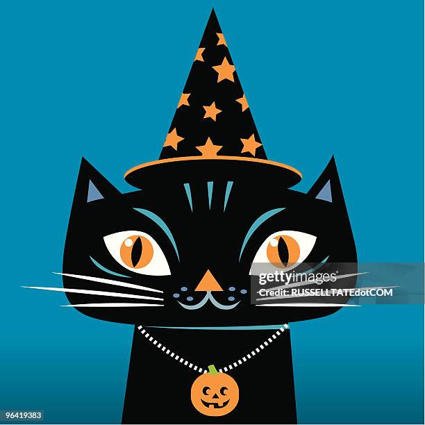 magicat and his scary pendant. - cat green eyes stock illustrations