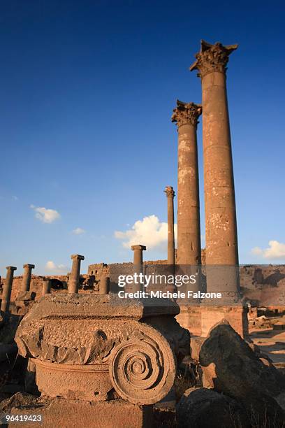 Api Bosra 408 Bosra Stock Photos, High-Res Pictures, and Images - Getty Images