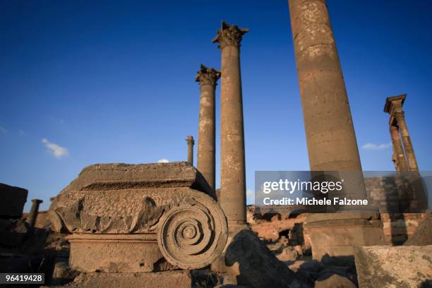 Api Bosra 408 Bosra Stock Photos, High-Res Pictures, and Images - Getty Images