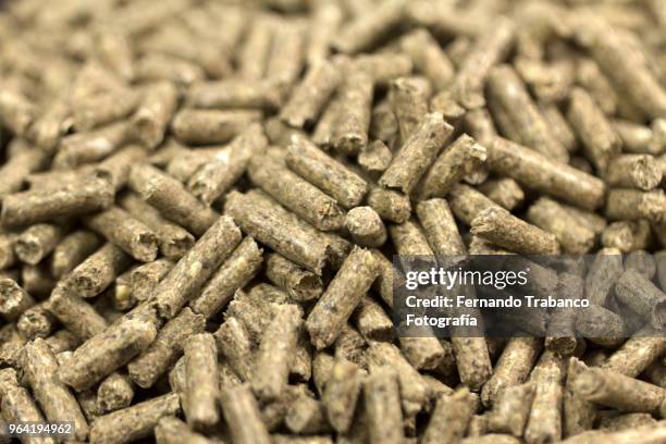 pet food - granule stockfoto's en -beelden