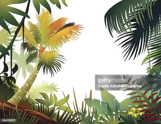bunte tropische frame - regenwald stock-grafiken, -clipart, -cartoons und -symbole