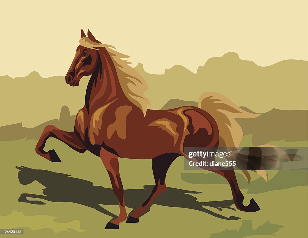 Tennessee Walking Horse