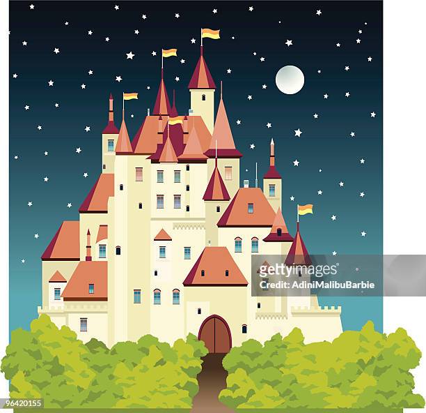 stockillustraties, clipart, cartoons en iconen met cartoon castle at night with stars and moon - spire