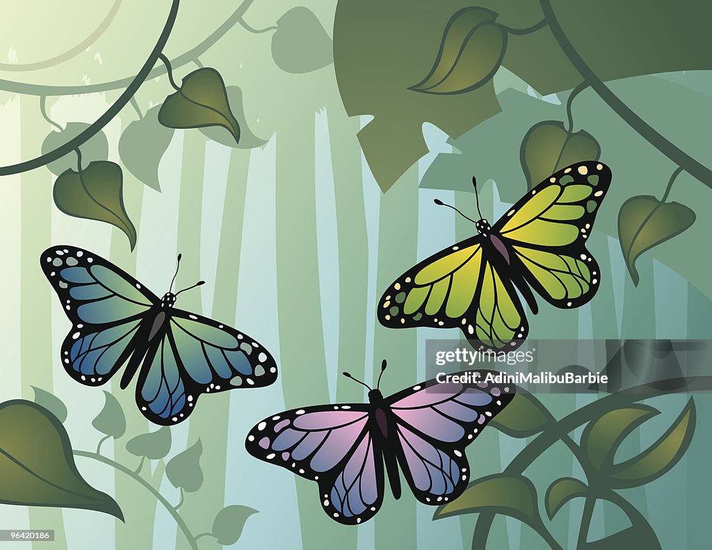 Flying Butterflies High-Res Vector Graphic - Getty Images