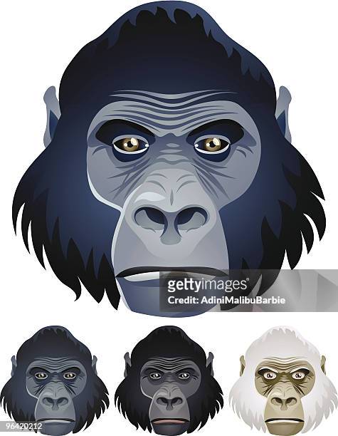 gorilla - gorilla face stock-grafiken, -clipart, -cartoons und -symbole