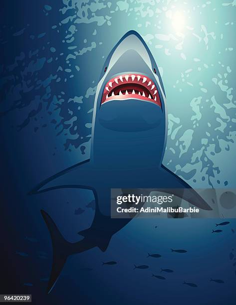 stockillustraties, clipart, cartoons en iconen met shark - animal teeth