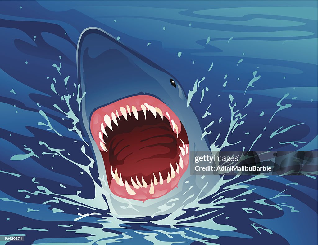 Shark Jaws High-Res Vector Graphic - Getty Images Shark Jaws High-Res Vector Graphic - Getty Images