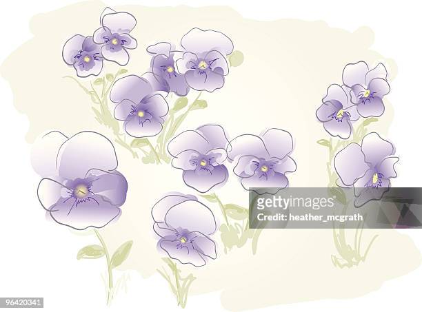 meadow of violets - pansy stock illustrations