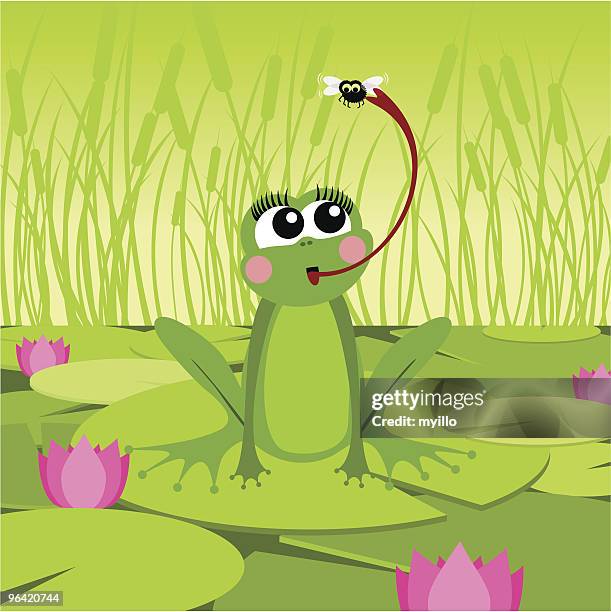 stockillustraties, clipart, cartoons en iconen met frog&amp;fly - insect eating