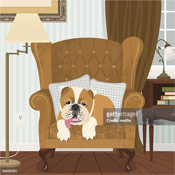british bulldog - cozy stock illustrations