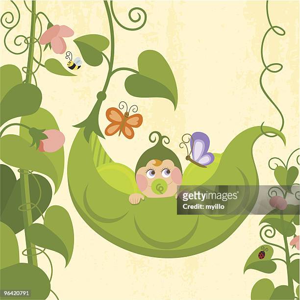 ilustraciones, imágenes clip art, dibujos animados e iconos de stock de sweet pea (serie - cuatro animales