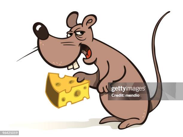 mouse & cheese - rat teeth stock illustrations