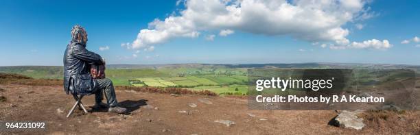 'seated figure', castleton rigg, westerdale, north york moors - image assemblée photos et images de collection