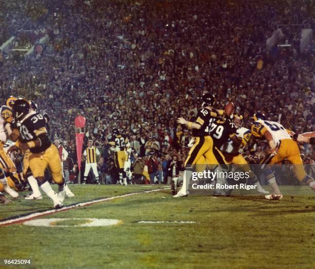 Steelers Roses Rose Bradshaw Photos and Premium High Res Pictures - Getty Images