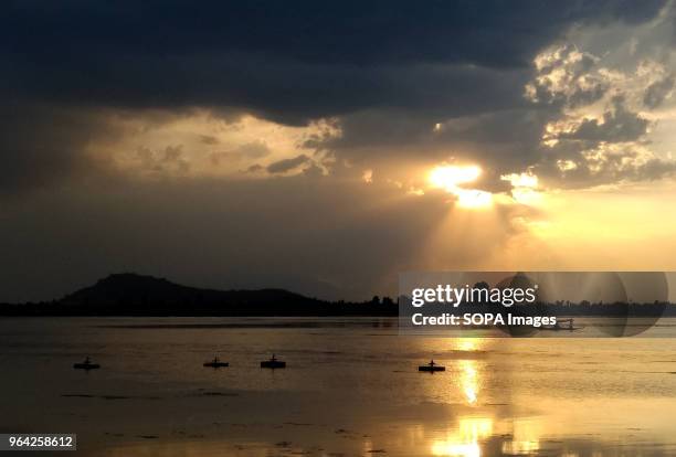 Kashmiri Boatman Rows his boat at sunset on the world famous dal lake in Srinagar.