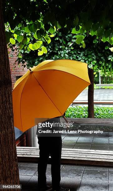 lady with a yellow umbrella - metzingen stock pictures, royalty-free photos & images